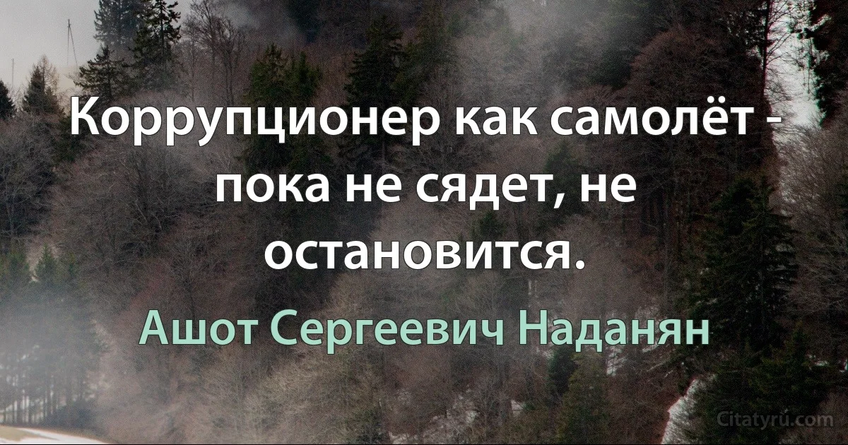 Коррупционер как самолёт - пока не сядет, не остановится. (Ашот Сергеевич Наданян)