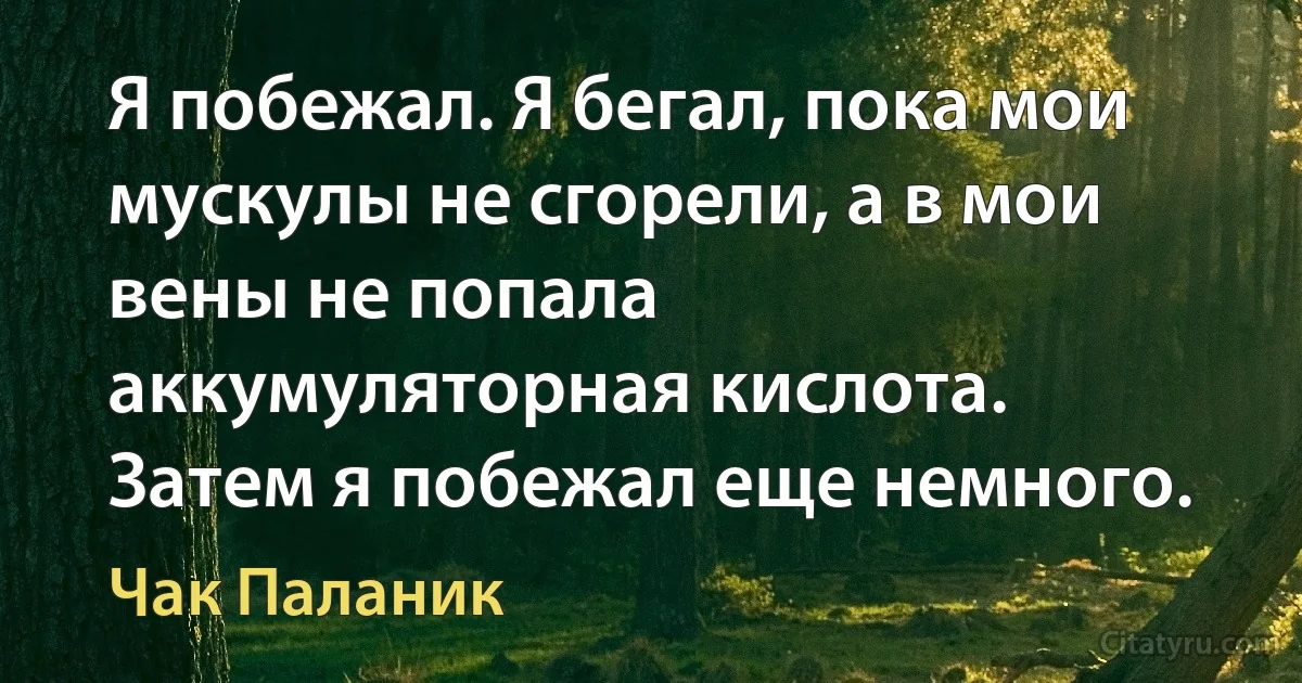 Я побежал. Я бегал, пока мои мускулы не сгорели, а в мои вены не попала аккумуляторная кислота. Затем я побежал еще немного. (Чак Паланик)