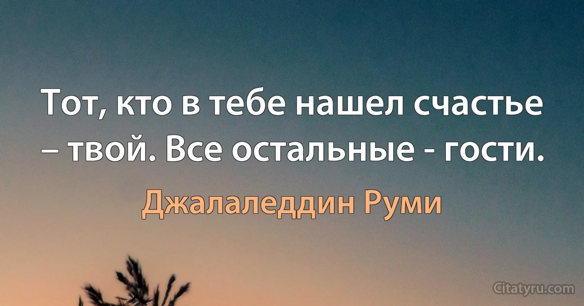 Тот, кто в тебе нашел счастье – твой. Все остальные - гости. (Джалаледдин Руми)