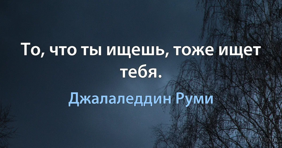 То, что ты ищешь, тоже ищет тебя. (Джалаледдин Руми)