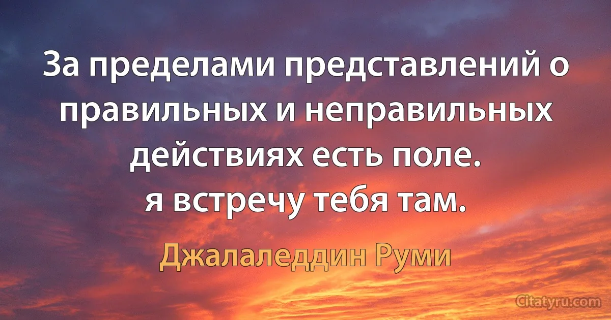 За пределами представлений о правильных и неправильных действиях есть поле.
я встречу тебя там. (Джалаледдин Руми)