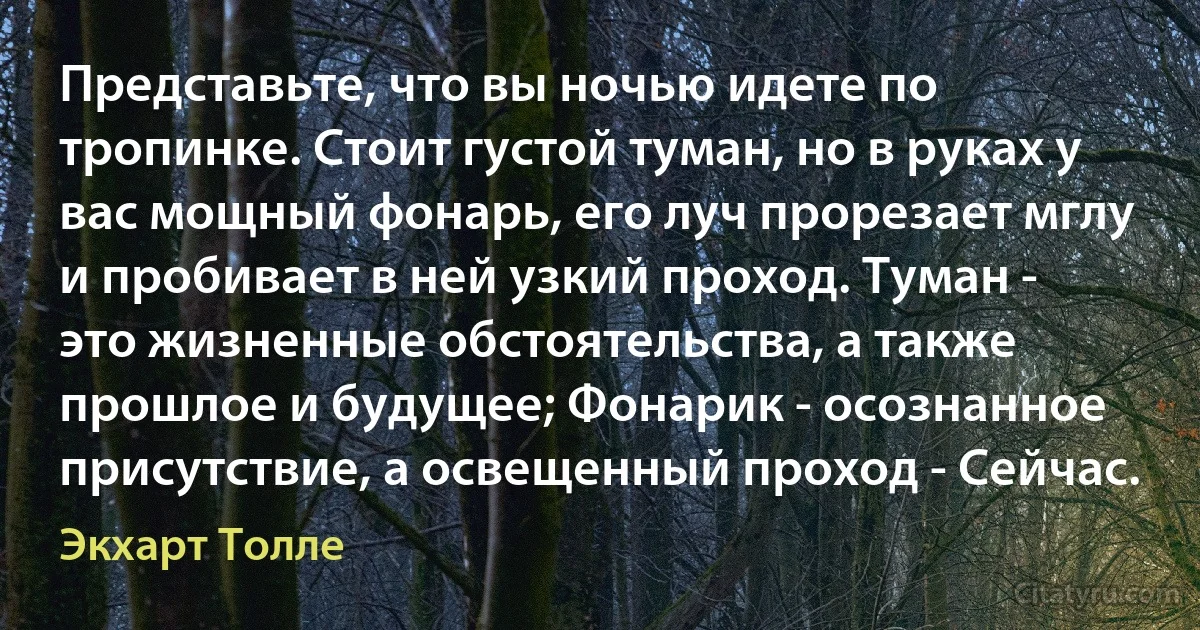 Представьте, что вы ночью идете по тропинке. Стоит густой туман, но в руках у вас мощный фонарь, его луч прорезает мглу и пробивает в ней узкий проход. Туман - это жизненные обстоятельства, а также прошлое и будущее; Фонарик - осознанное присутствие, а освещенный проход - Сейчас. (Экхарт Толле)