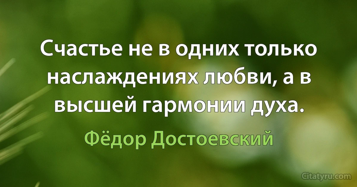 Счастье не в одних только наслаждениях любви, а в высшей гармонии духа. (Фёдор Достоевский)