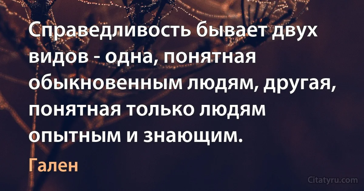 Справедливость бывает двух видов - одна, понятная обыкновенным людям, другая, понятная только людям опытным и знающим. (Гален)