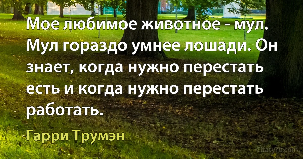 Мое любимое животное - мул. Мул гораздо умнее лошади. Он знает, когда нужно перестать есть и когда нужно перестать работать. (Гарри Трумэн)