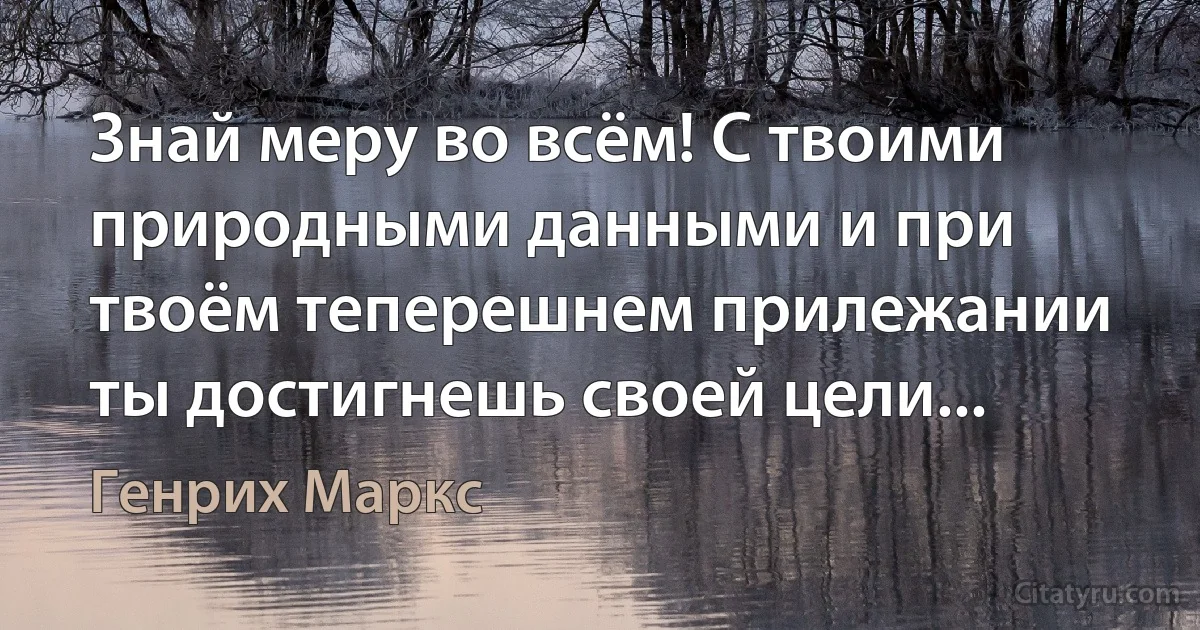 Знай меру во всём! С твоими природными данными и при твоём теперешнем прилежании ты достигнешь своей цели... (Генрих Маркс)