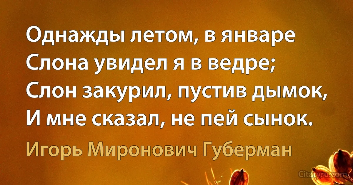 Однажды летом, в январе
Слона увидел я в ведре;
Слон закурил, пустив дымок, 
И мне сказал, не пей сынок. (Игорь Миронович Губерман)