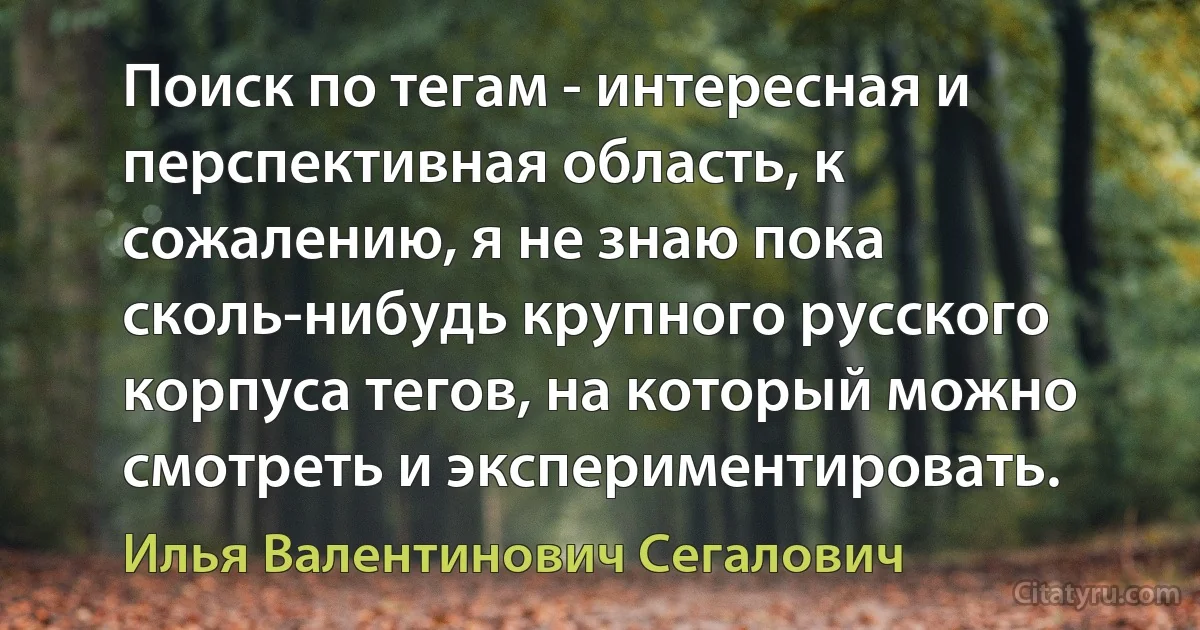 Поиск по тегам - интересная и перспективная область, к сожалению, я не знаю пока сколь-нибудь крупного русского корпуса тегов, на который можно смотреть и экспериментировать. (Илья Валентинович Сегалович)