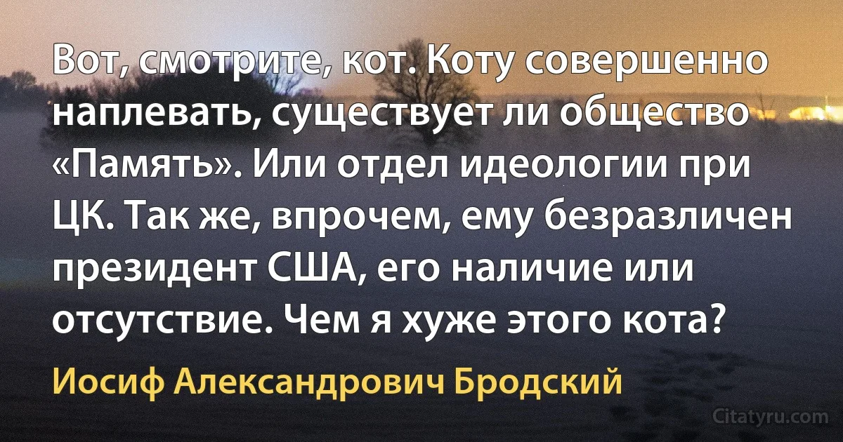 Вот, смотрите, кот. Коту совершенно наплевать, существует ли общество «Память». Или отдел идеологии при ЦК. Так же, впрочем, ему безразличен президент США, его наличие или отсутствие. Чем я хуже этого кота? (Иосиф Александрович Бродский)