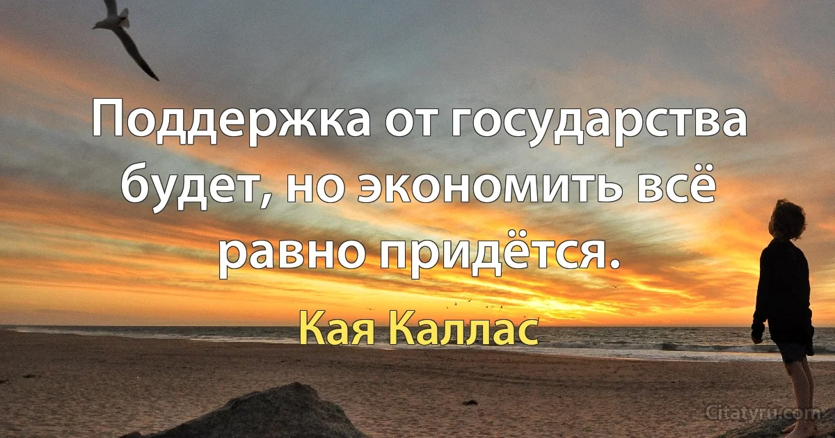 Поддержка от государства будет, но экономить всё равно придётся. (Кая Каллас)