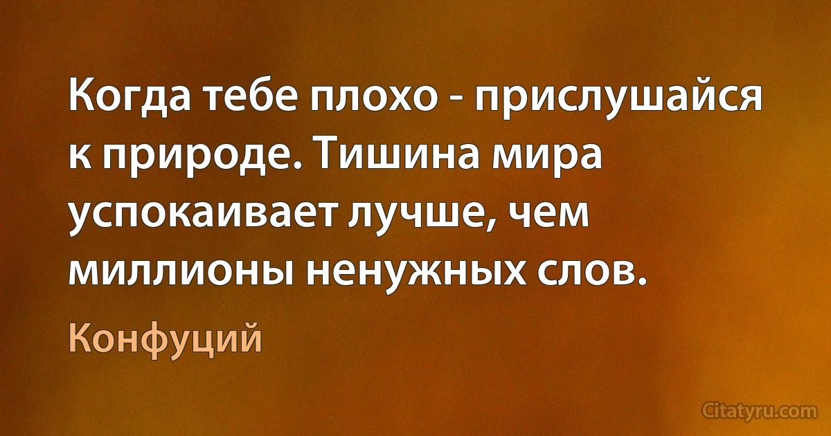 Когда тебе плохо - прислушайся к природе. Тишина мира успокаивает лучше, чем миллионы ненужных слов. (Конфуций)