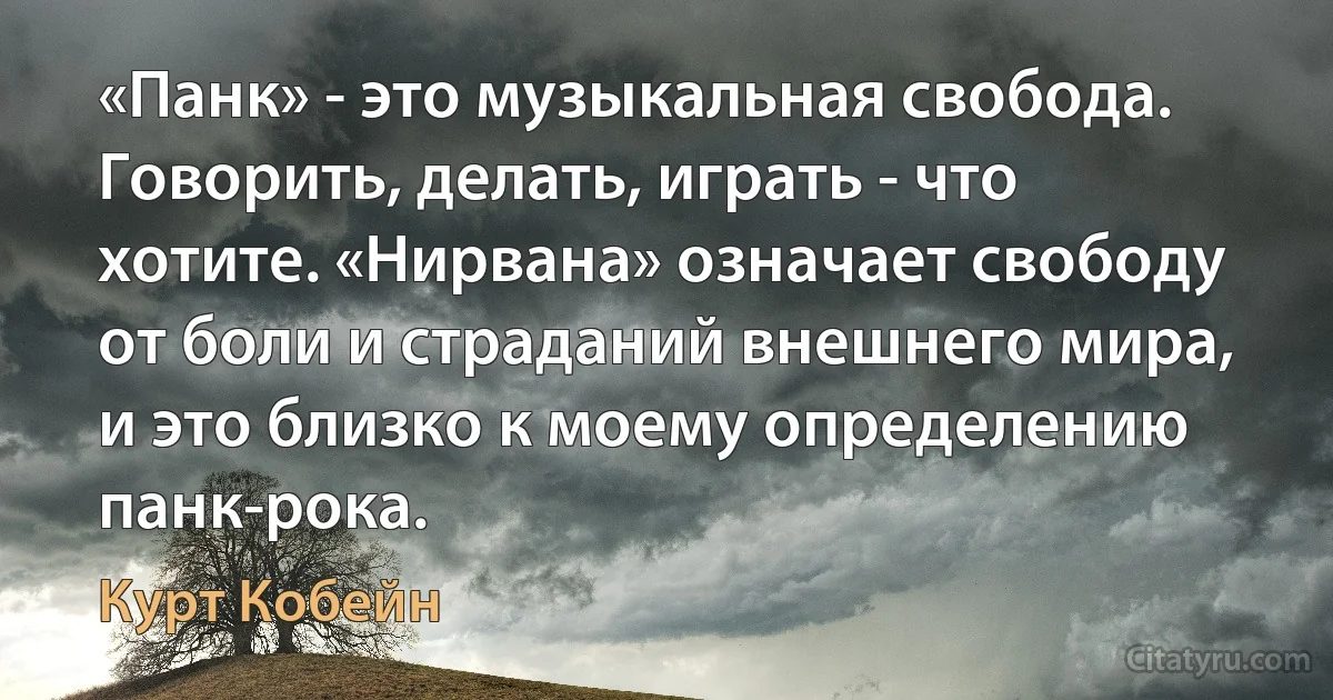 «Панк» - это музыкальная свобода. Говорить, делать, играть - что хотите. «Нирвана» означает свободу от боли и страданий внешнего мира, и это близко к моему определению панк-рока. (Курт Кобейн)