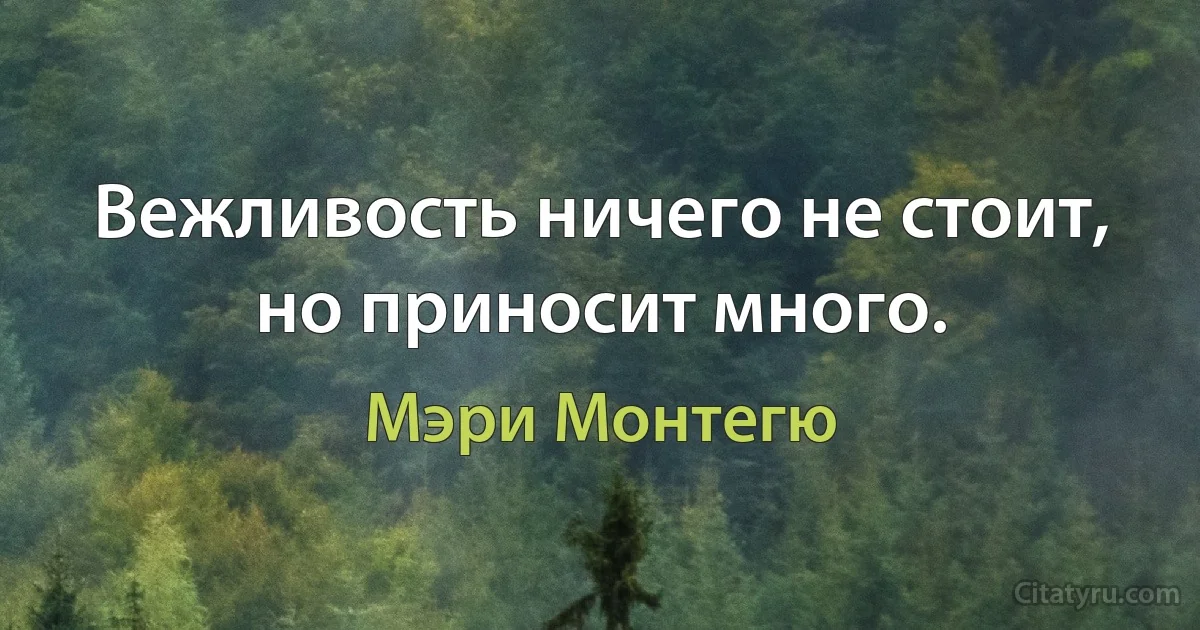 Вежливость ничего не стоит, но приносит много. (Мэри Монтегю)