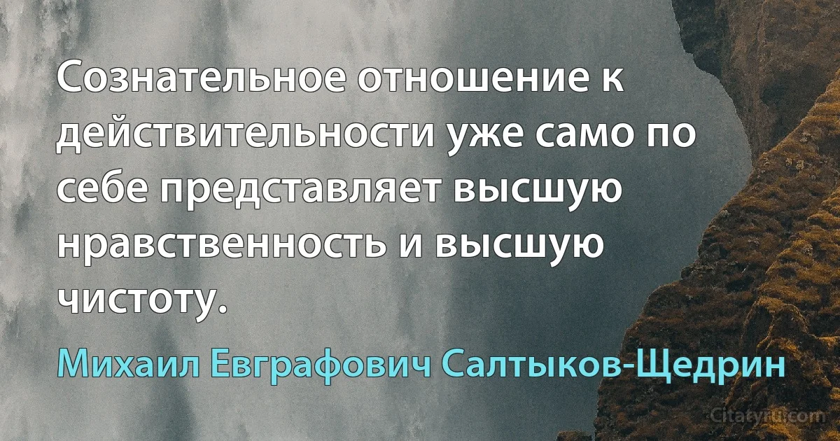 Сознательное отношение к действительности уже само по себе представляет высшую нравственность и высшую чистоту. (Михаил Евграфович Салтыков-Щедрин)