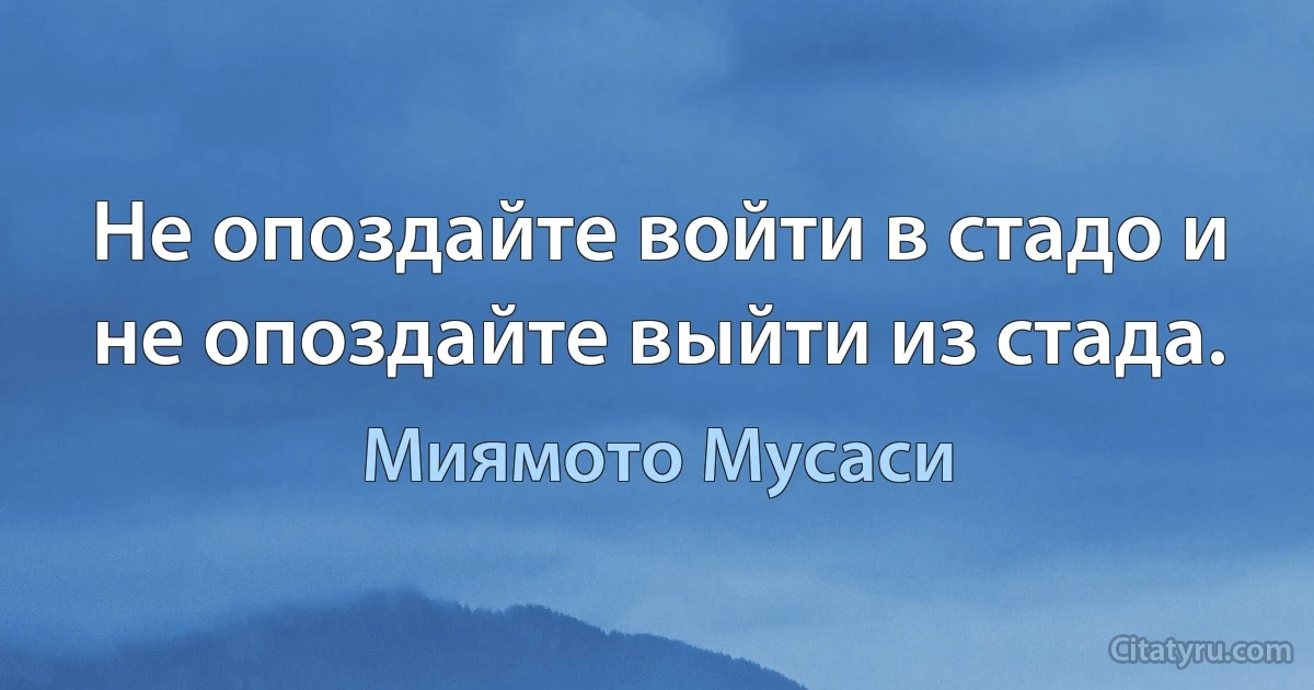 Не опоздайте войти в стадо и не опоздайте выйти из стада. (Миямото Мусаси)