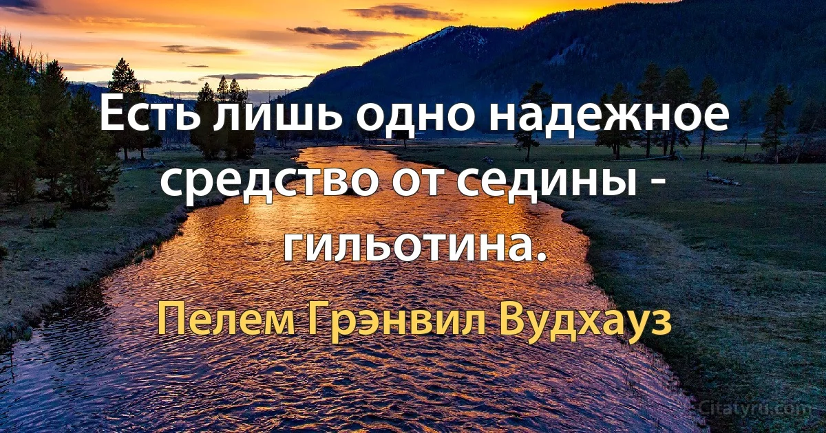 Есть лишь одно надежное средство от седины - гильотина. (Пелем Грэнвил Вудхауз)