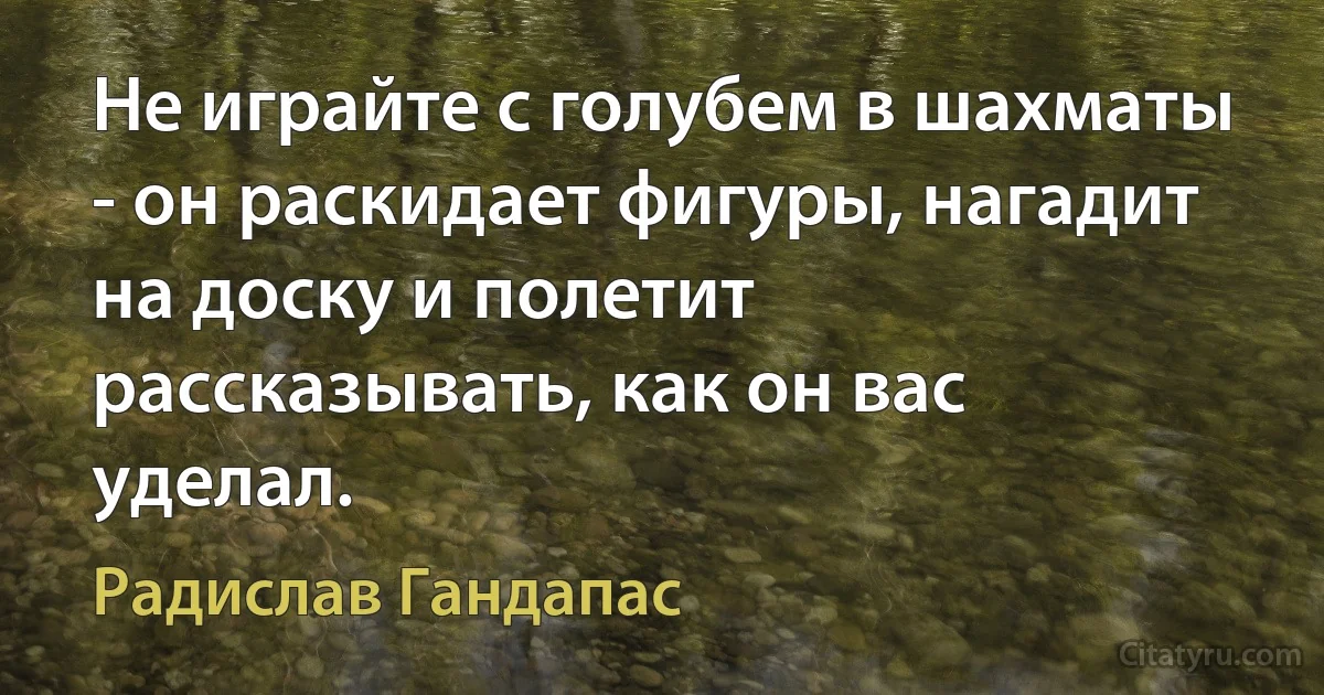 Не играйте с голубем в шахматы - он раскидает фигуры, нагадит на доску и полетит рассказывать, как он вас уделал. (Радислав Гандапас)