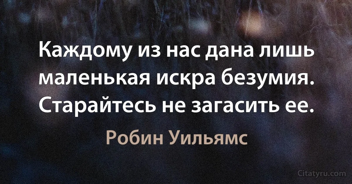 Каждому из нас дана лишь маленькая искра безумия. Старайтесь не загасить ее. (Робин Уильямс)