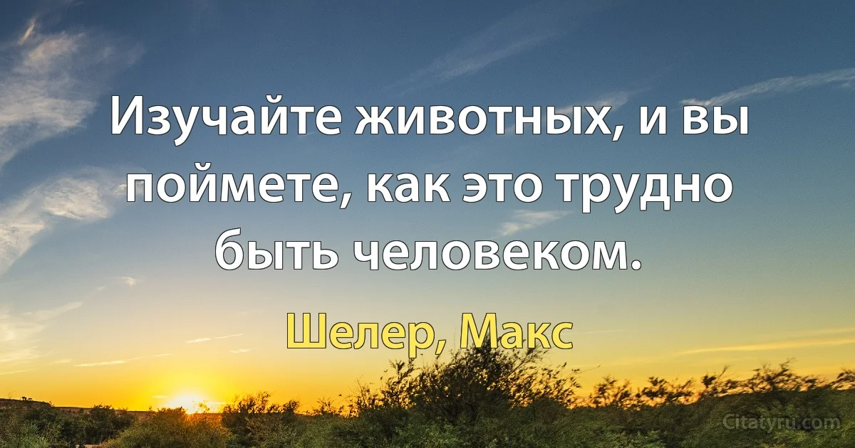 Изучайте животных, и вы поймете, как это трудно быть человеком. (Шелер, Макс)