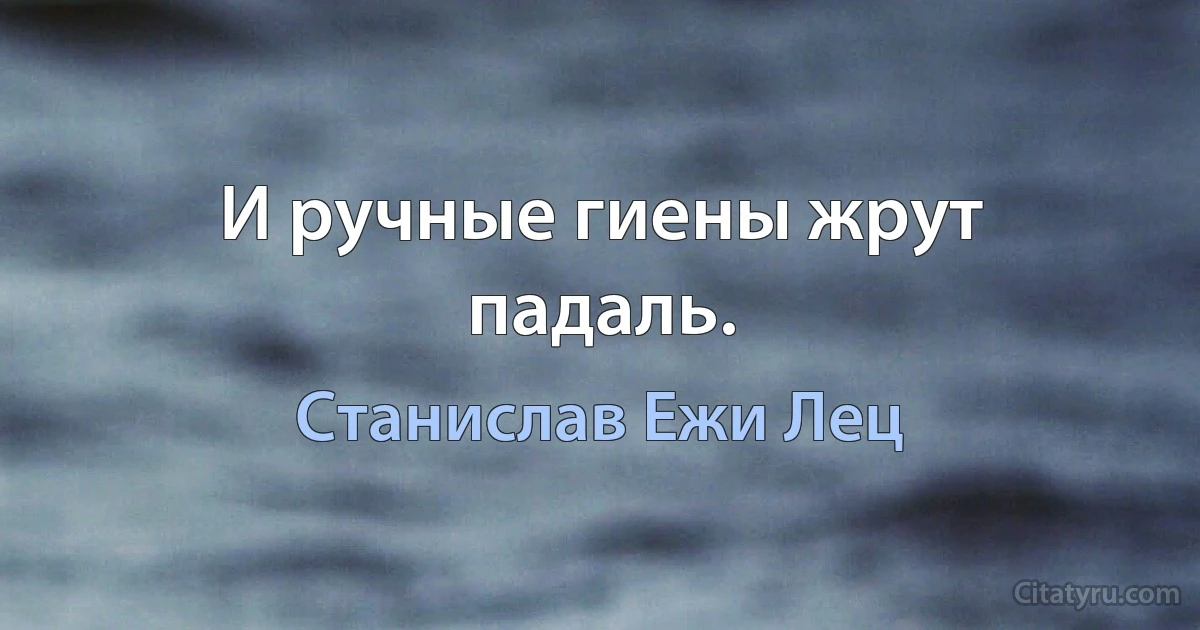 И ручные гиены жрут падаль. (Станислав Ежи Лец)