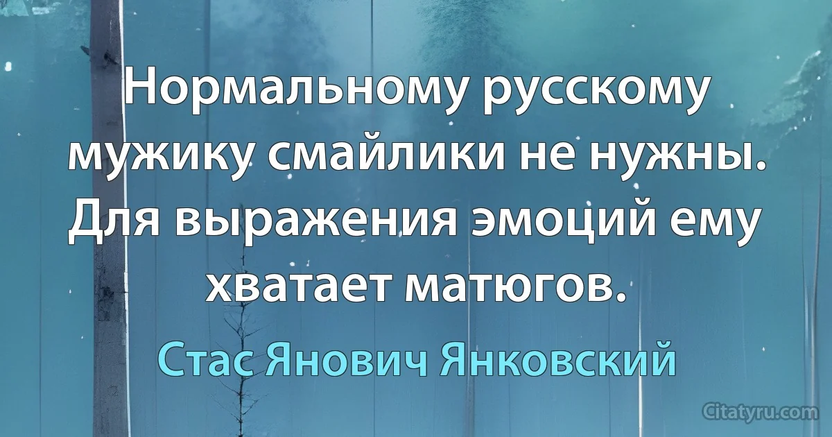 Нормальному русскому мужику смайлики не нужны. Для выражения эмоций ему хватает матюгов. (Стас Янович Янковский)