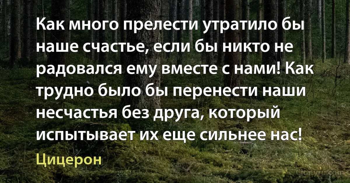 Как много прелести утратило бы наше счастье, если бы никто не радовался ему вместе с нами! Как трудно было бы перенести наши несчастья без друга, который испытывает их еще сильнее нас! (Цицерон)