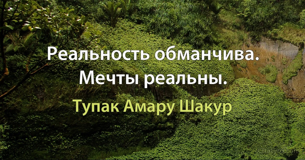 Реальность обманчива. Мечты реальны. (Тупак Амару Шакур)