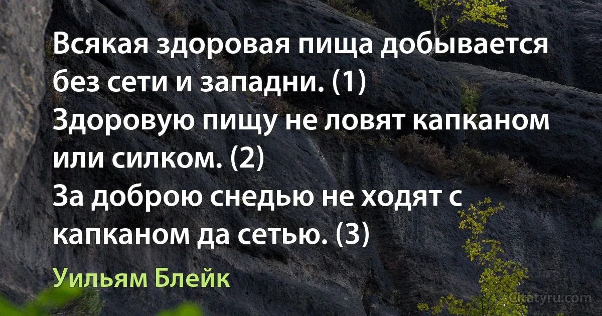 Всякая здоровая пища добывается без сети и западни. (1)
Здоровую пищу не ловят капканом или силком. (2)
За доброю снедью не ходят с капканом да сетью. (3) (Уильям Блейк)