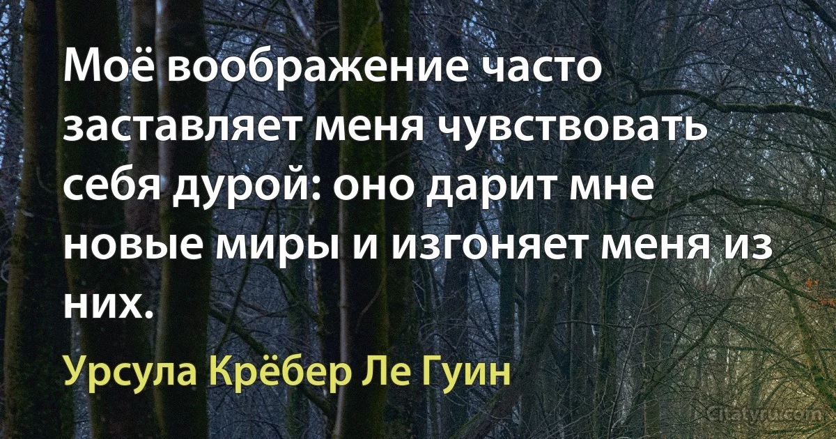 Моё воображение часто заставляет меня чувствовать себя дурой: оно дарит мне новые миры и изгоняет меня из них. (Урсула Крёбер Ле Гуин)