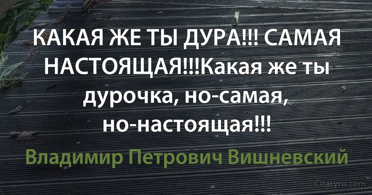 КАКАЯ ЖЕ ТЫ ДУРА!!! САМАЯ НАСТОЯЩАЯ!!!Какая же ты дурочка, но-самая, но-настоящая!!! (Владимир Петрович Вишневский)