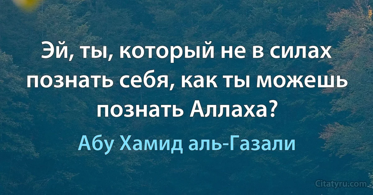 Эй, ты, который не в силах познать себя, как ты можешь познать Аллаха? (Абу Хамид аль-Газали)