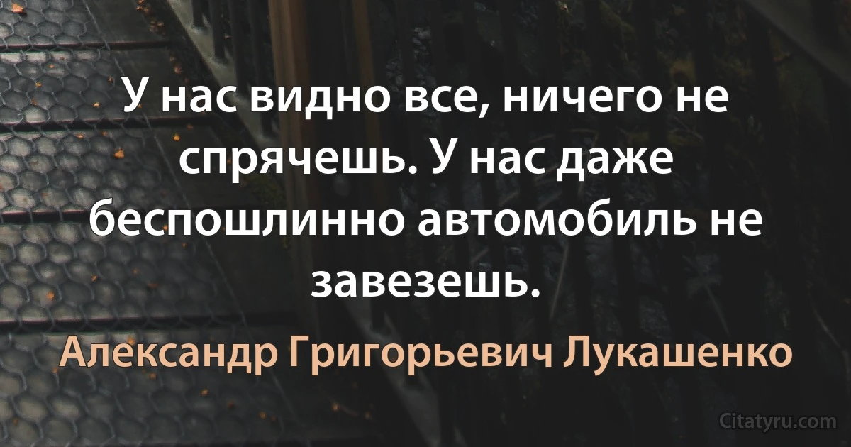 У нас видно все, ничего не спрячешь. У нас даже беспошлинно автомобиль не завезешь. (Александр Григорьевич Лукашенко)