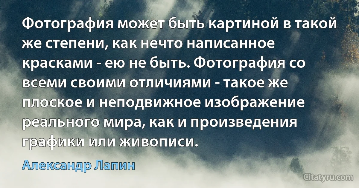 Фотография может быть картиной в такой же степени, как нечто написанное красками - ею не быть. Фотография со всеми своими отличиями - такое же плоское и неподвижное изображение реального мира, как и произведения графики или живописи. (Александр Лапин)