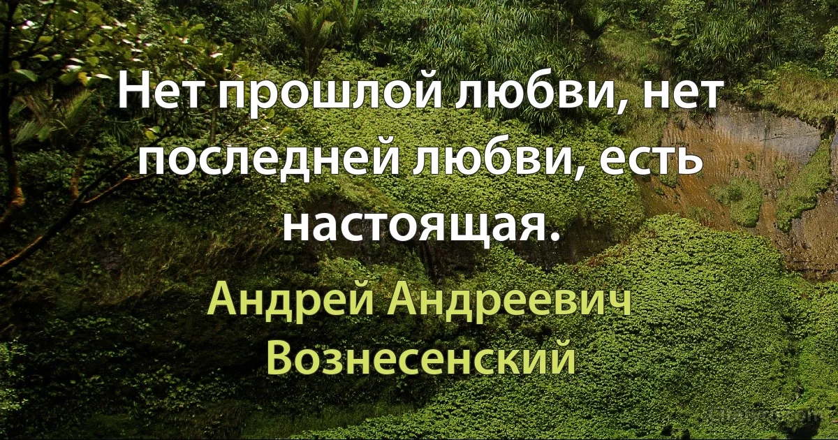 Нет прошлой любви, нет последней любви, есть настоящая. (Андрей Андреевич Вознесенский)