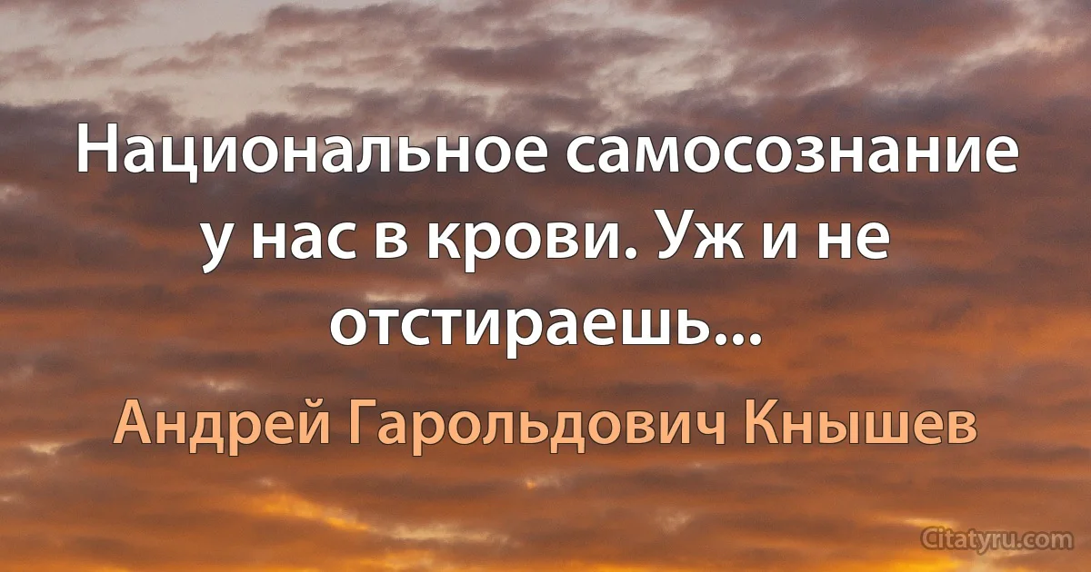 Национальное самосознание у нас в крови. Уж и не отстираешь... (Андрей Гарольдович Кнышев)