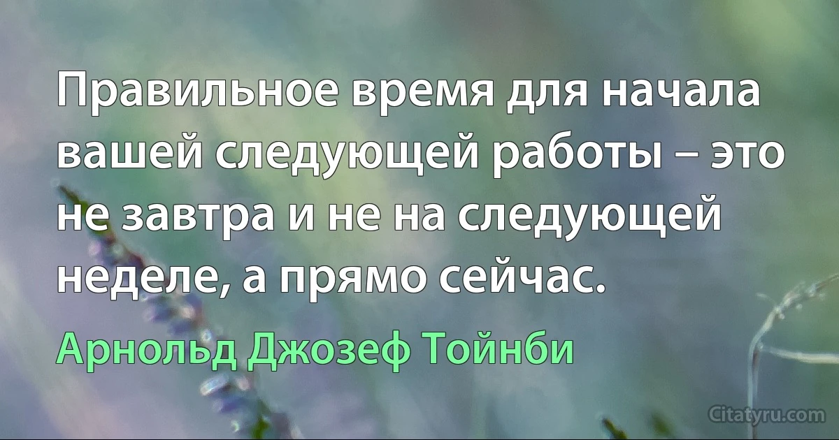 Правильное время для начала вашей следующей работы – это не завтра и не на следующей неделе, а прямо сейчас. (Арнольд Джозеф Тойнби)