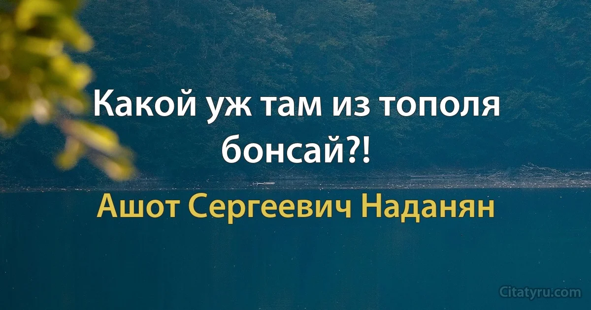 Какой уж там из тополя бонсай?! (Ашот Сергеевич Наданян)