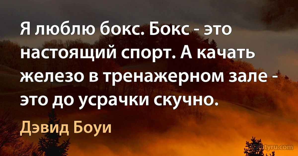 Я люблю бокс. Бокс - это настоящий спорт. А качать железо в тренажерном зале - это до усрачки скучно. (Дэвид Боуи)