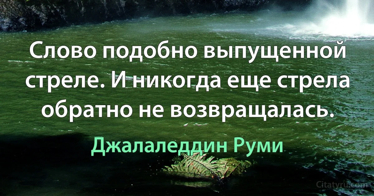 Слово подобно выпущенной стреле. И никогда еще стрела обратно не возвращалась. (Джалаледдин Руми)