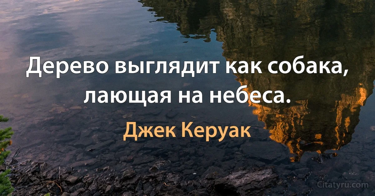 Дерево выглядит как собака, лающая на небеса. (Джек Керуак)