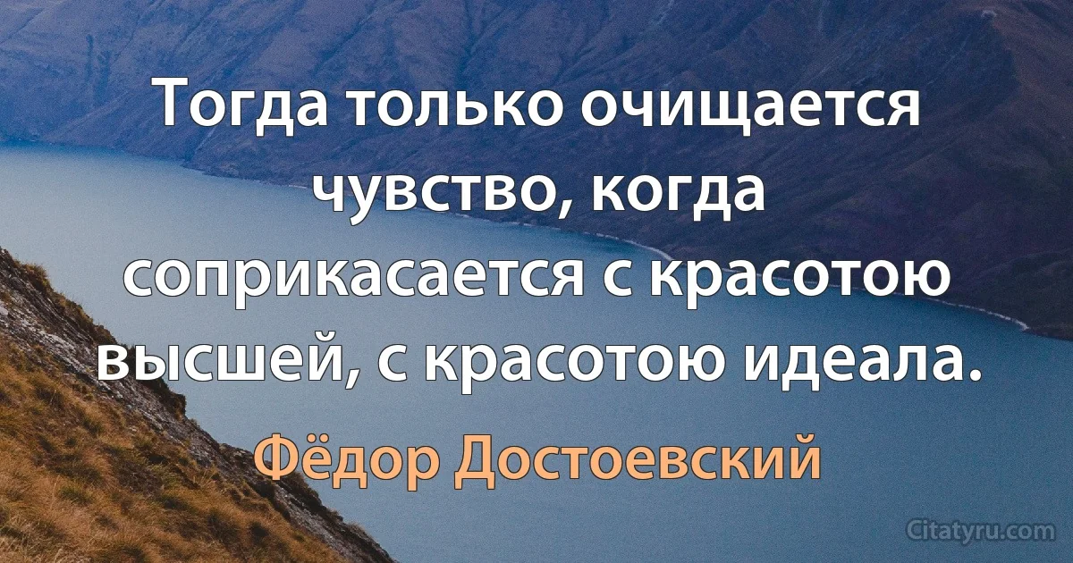 Тогда только очищается чувство, когда соприкасается с красотою высшей, с красотою идеала. (Фёдор Достоевский)