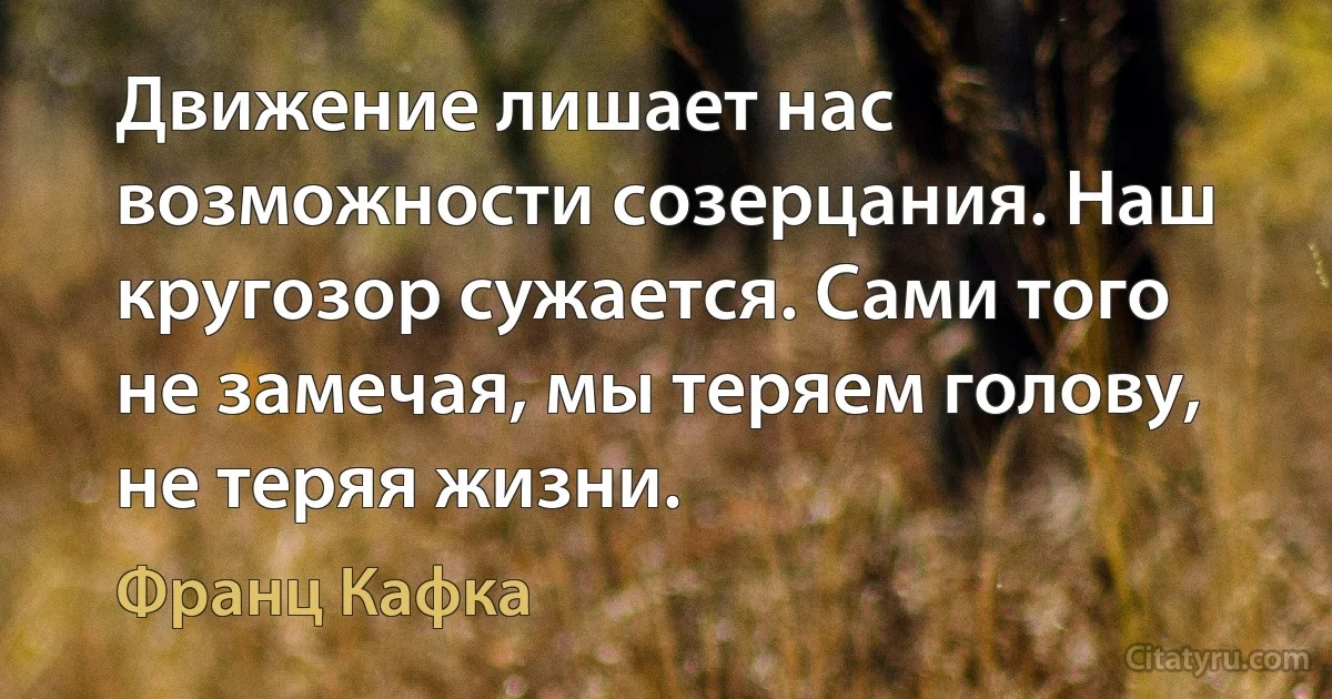 Движение лишает нас возможности созерцания. Наш кругозор сужается. Сами того не замечая, мы теряем голову, не теряя жизни. (Франц Кафка)