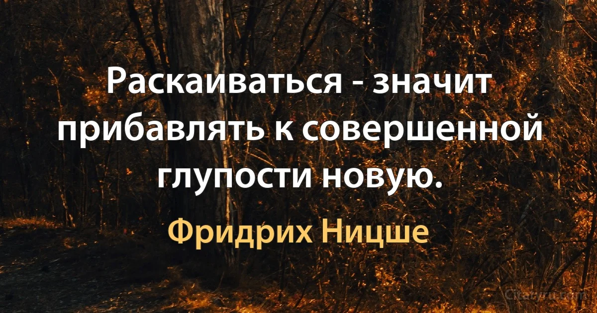 Раскаиваться - значит прибавлять к совершенной глупости новую. (Фридрих Ницше)