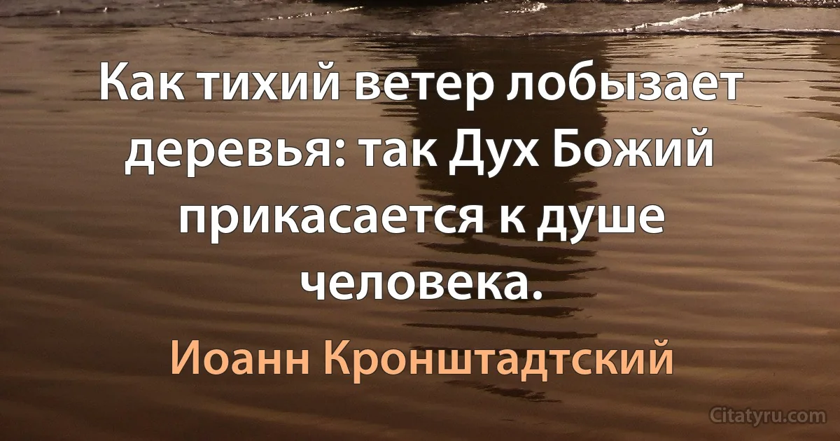 Как тихий ветер лобызает деревья: так Дух Божий прикасается к душе человека. (Иоанн Кронштадтский)