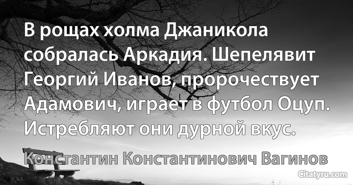 В рощах холма Джаникола собралась Аркадия. Шепелявит Георгий Иванов, пророчествует Адамович, играет в футбол Оцуп. Истребляют они дурной вкус. (Константин Константинович Вагинов)