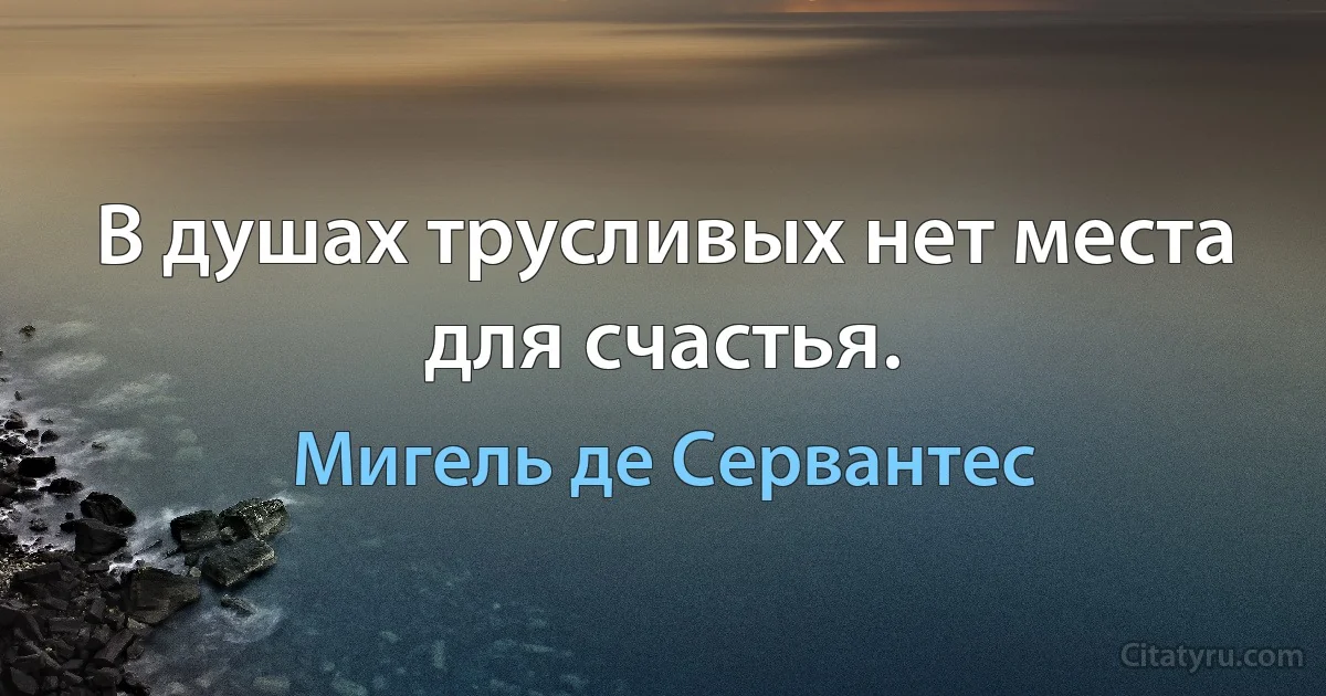 В душах трусливых нет места для счастья. (Мигель де Сервантес)