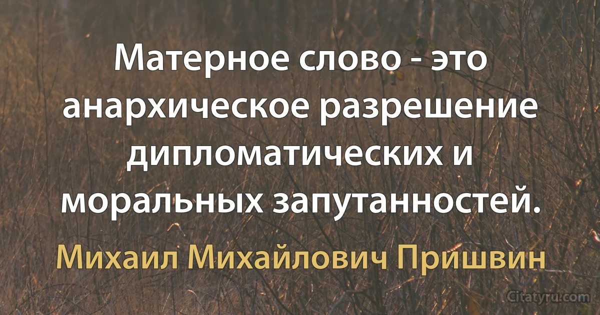 Матерное слово - это анархическое разрешение дипломатических и моральных запутанностей. (Михаил Михайлович Пришвин)