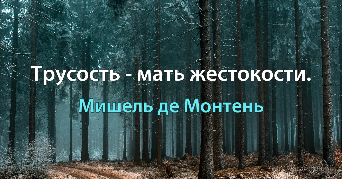 Трусость - мать жестокости. (Мишель де Монтень)