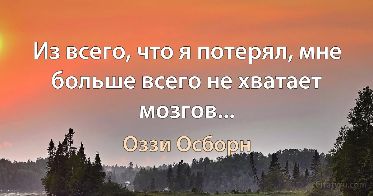 Из всего, что я потерял, мне больше всего не хватает мозгов... (Оззи Осборн)