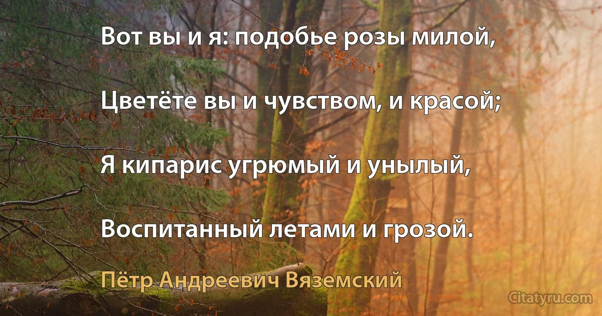 Вот вы и я: подобье розы милой,

Цветёте вы и чувством, и красой;

Я кипарис угрюмый и унылый,

Воспитанный летами и грозой. (Пётр Андреевич Вяземский)